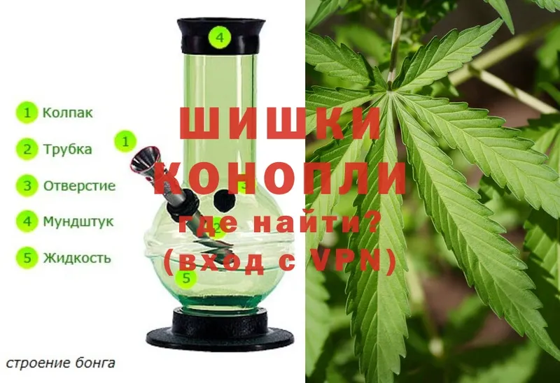 Бошки Шишки White Widow  Задонск 